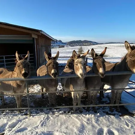 公寓 Bauernhof Sal By Interhome