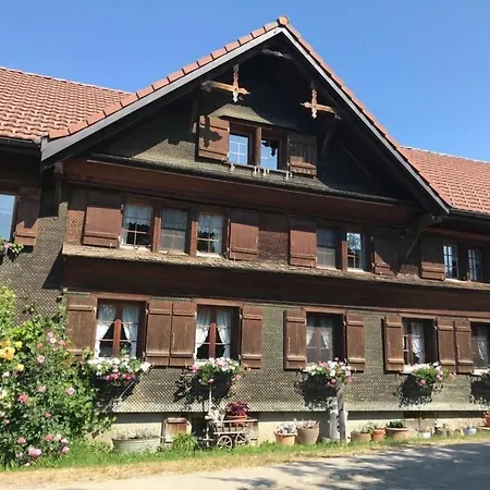 Bauernhof Sal By Interhome Butschwil