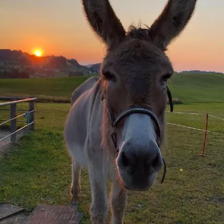 Bauernhof Sal By Interhome Apartment *