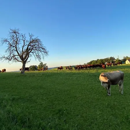 Bauernhof Sal By Interhome Butschwil