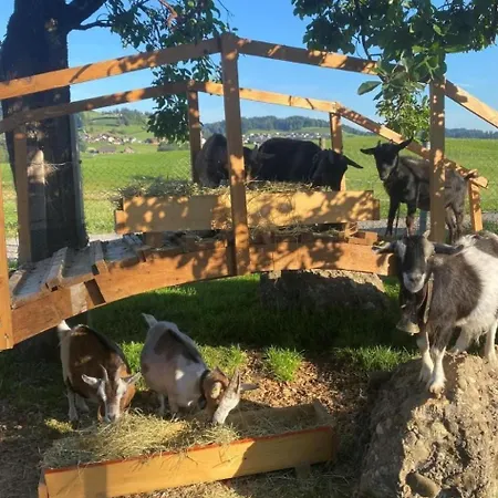 Bauernhof Sal By Interhome Butschwil