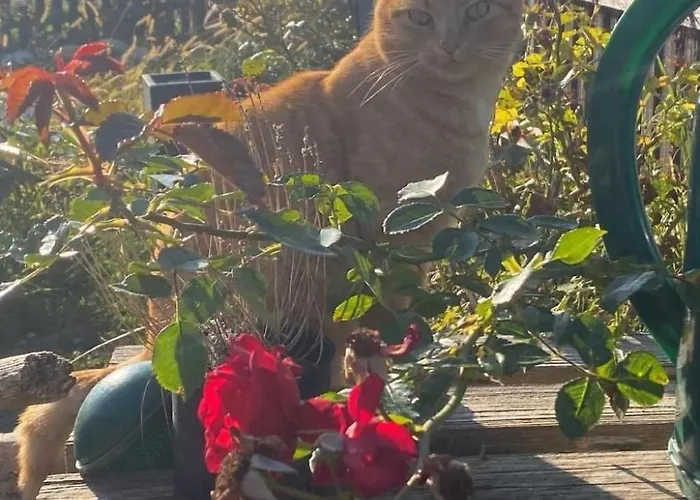 Bauernhof Sal By Interhome