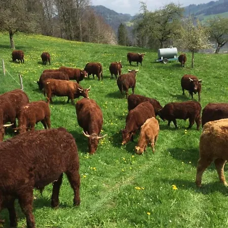 Bauernhof Sal By Interhome *