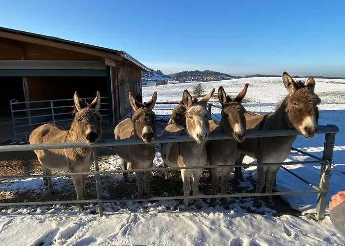 Διαμέρισμα Bauernhof Sal By Interhome