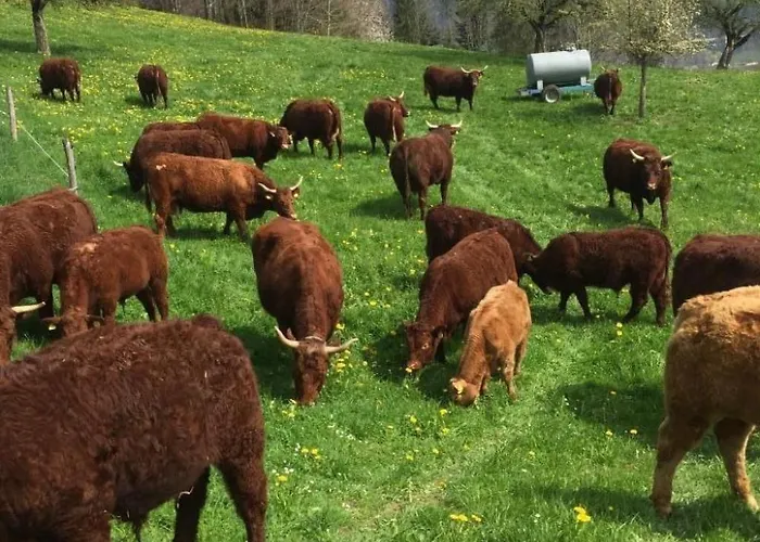 Bauernhof Sal By Interhome *