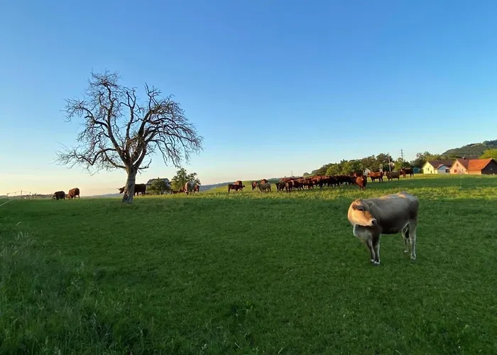 Bauernhof Sal By Interhome Bütschwil