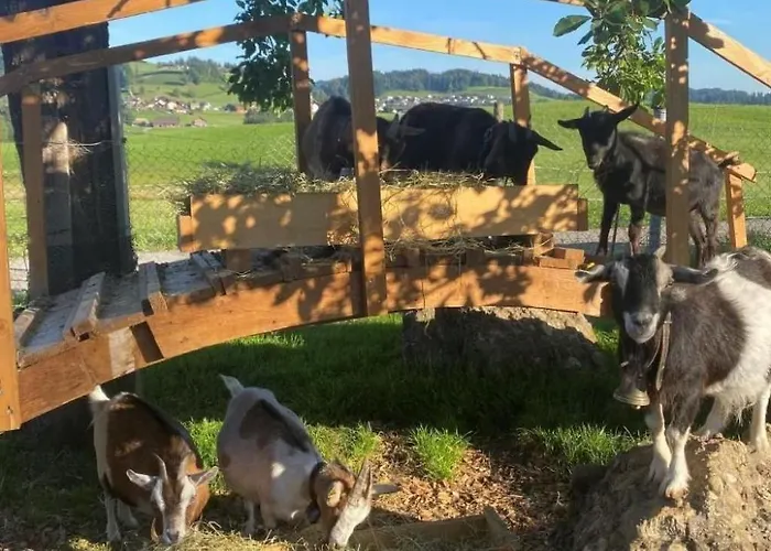 Bauernhof Sal By Interhome Bütschwil